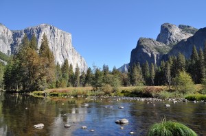 Yosemite Park Photo